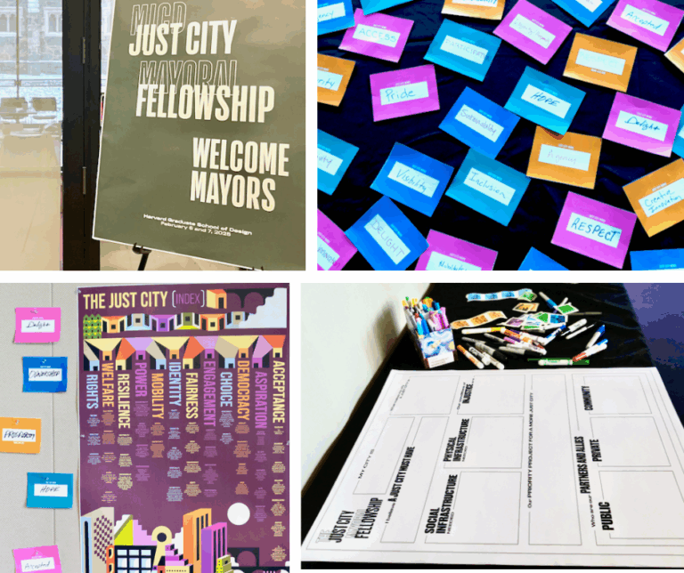 My Just City Mayoral Fellowship