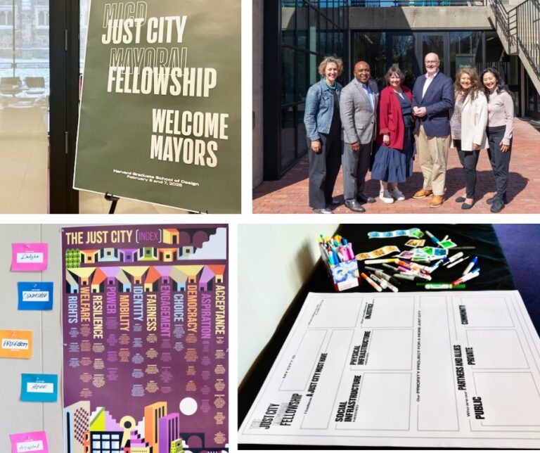 My Just City Mayoral Fellowship