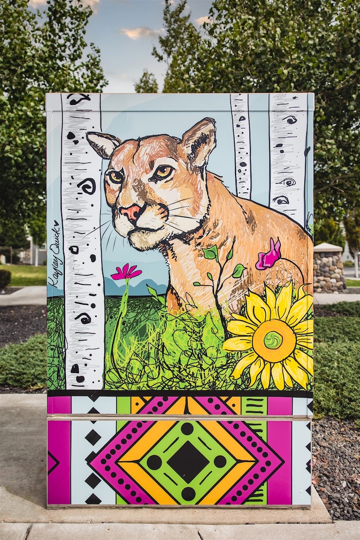 Participating in Flagstaff’s Evolution